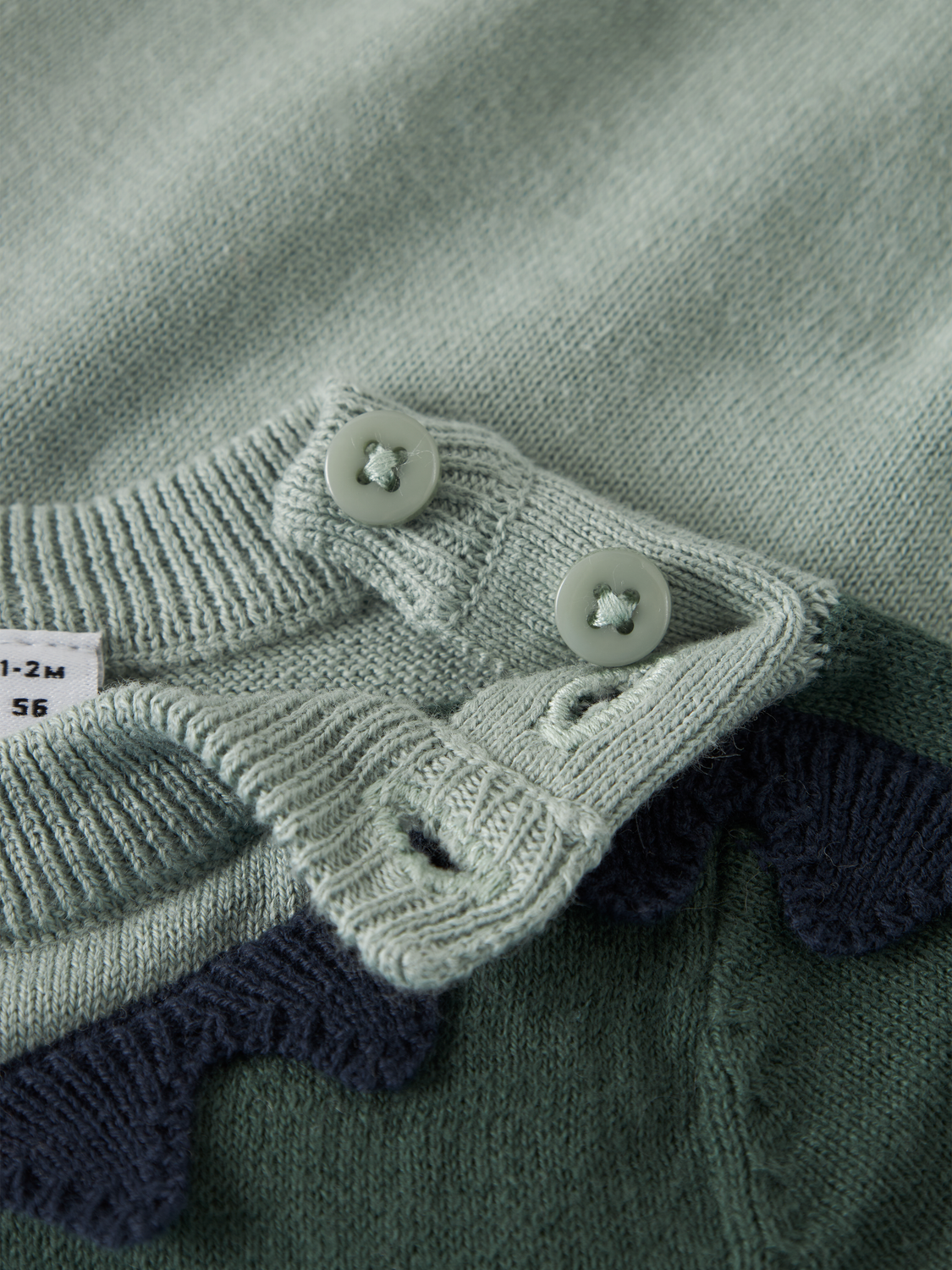 model_shot-front_full